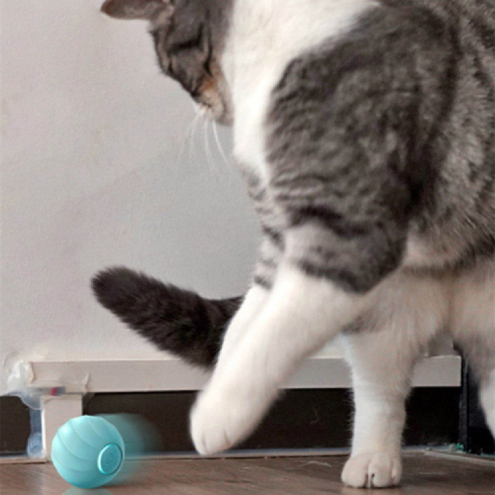 Smart Pet Products For Playing Cat Balls