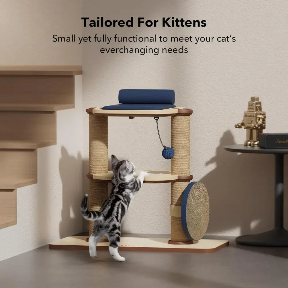 Toy Scratching for Cats - SAPA PETS