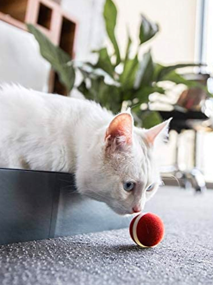 Smart Pet Products For Playing Cat Balls